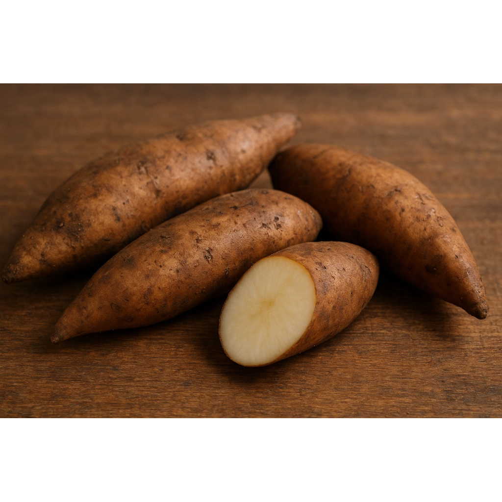 

YACON GREAT A/ INSULIN MANIS DAN BESAR