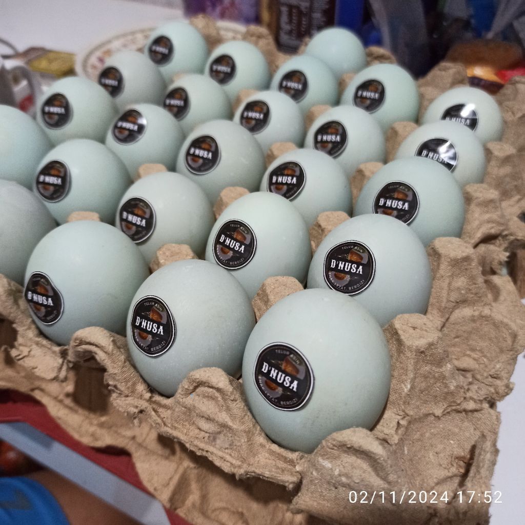 

(d'Nusa telur) Telur asin masir original size sedang