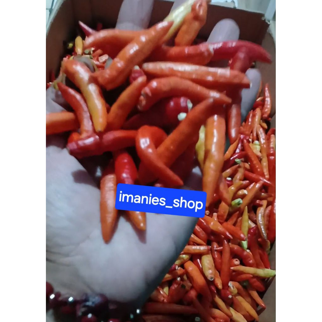 Cabe RAWIT  KERITING , TW MERAH dan  HIJAU petik tangkai