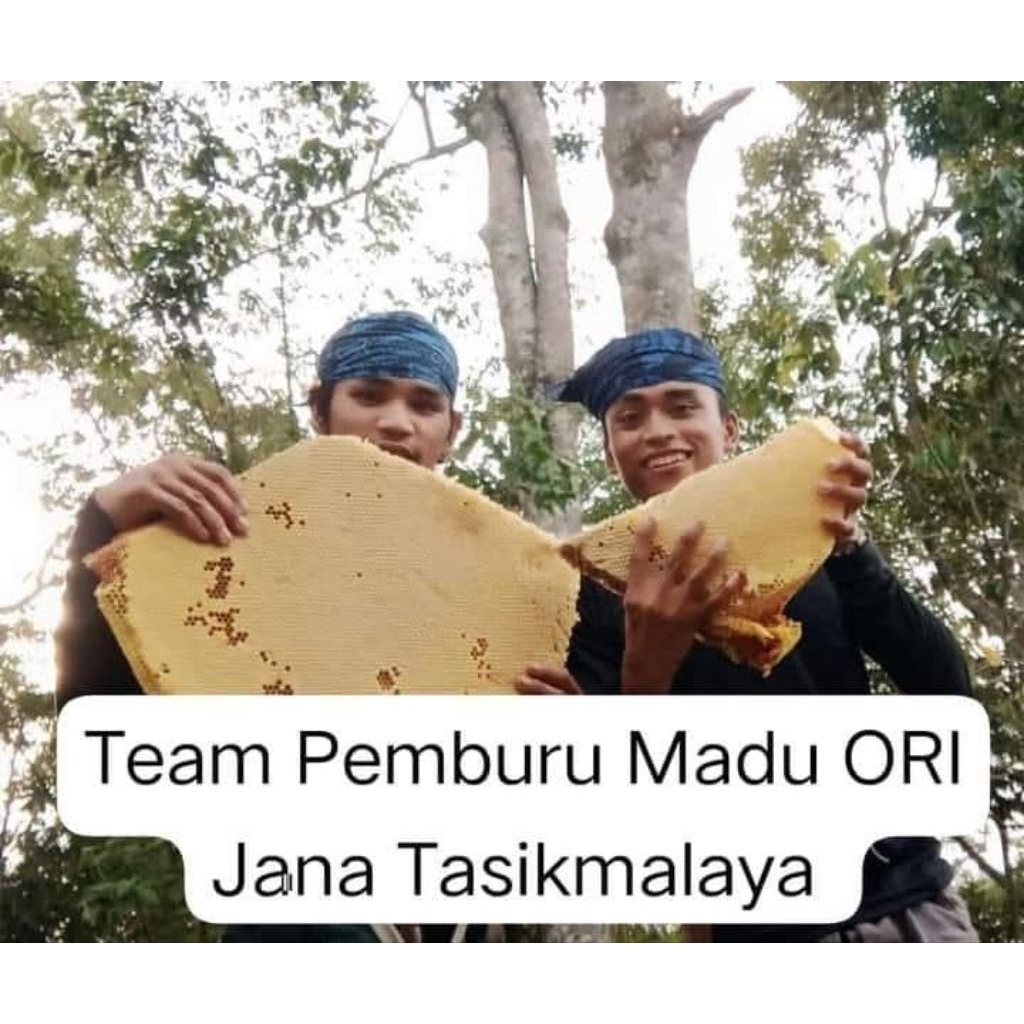 

Madu Hutan original Nektar Multiflota Apis Dorsata Odeng Super Asli Murni tanpa campuran