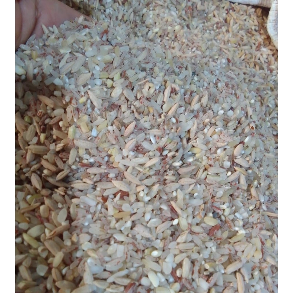 

Beras Rijek paket 5 Kg