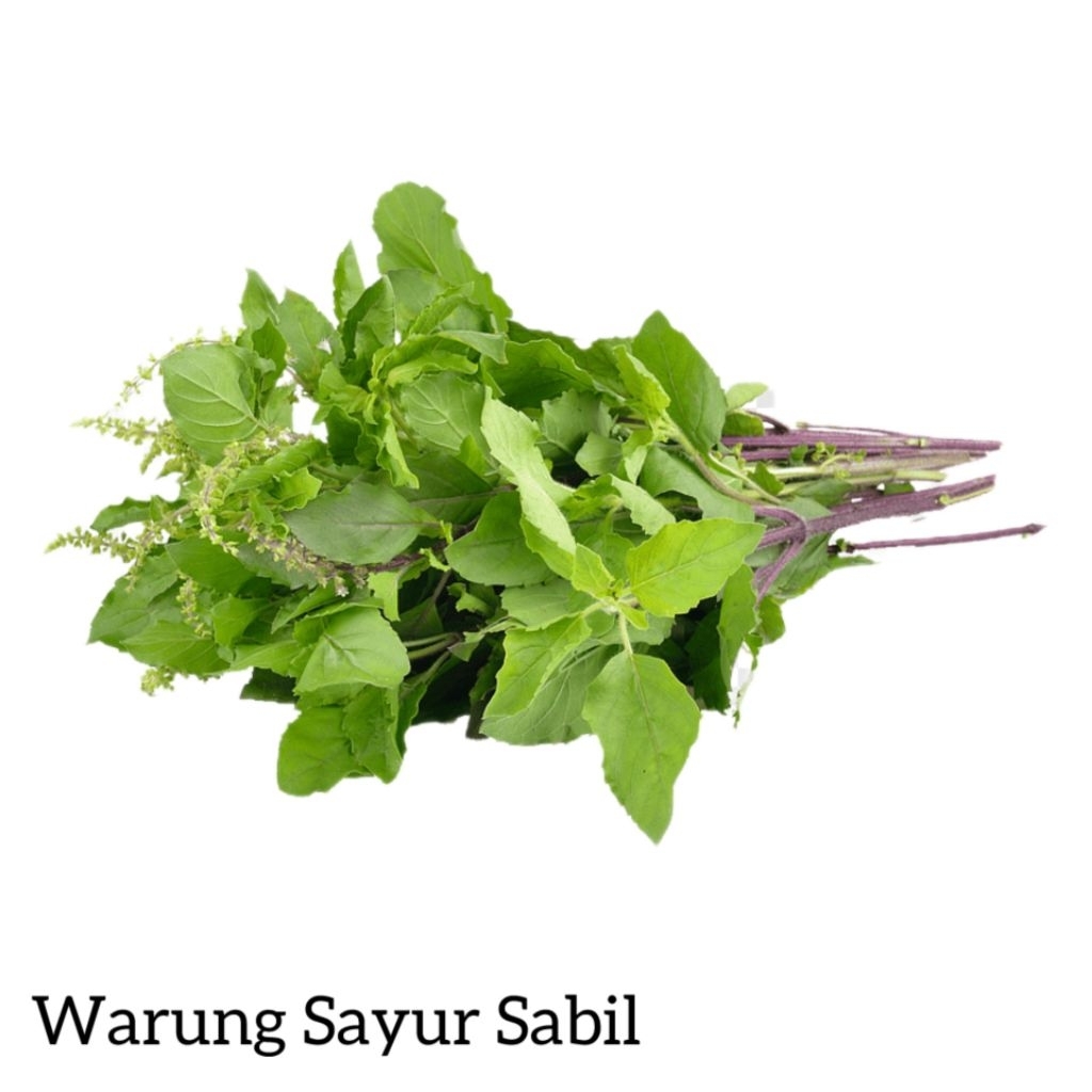 

Daun Kemangi Per Ikat