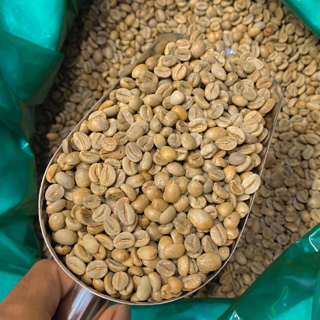 

Arabica Anaerobic Natural Green Beans - MUNDUK COFFEE