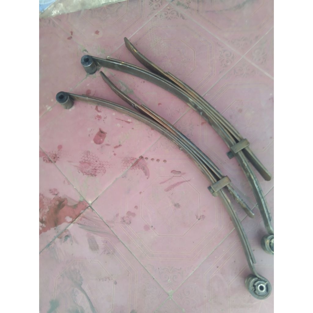 2 ikat per daun zebra Espass mulus ori