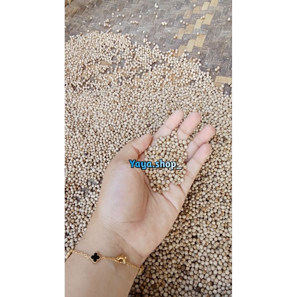 

Merica utuh/lada putih