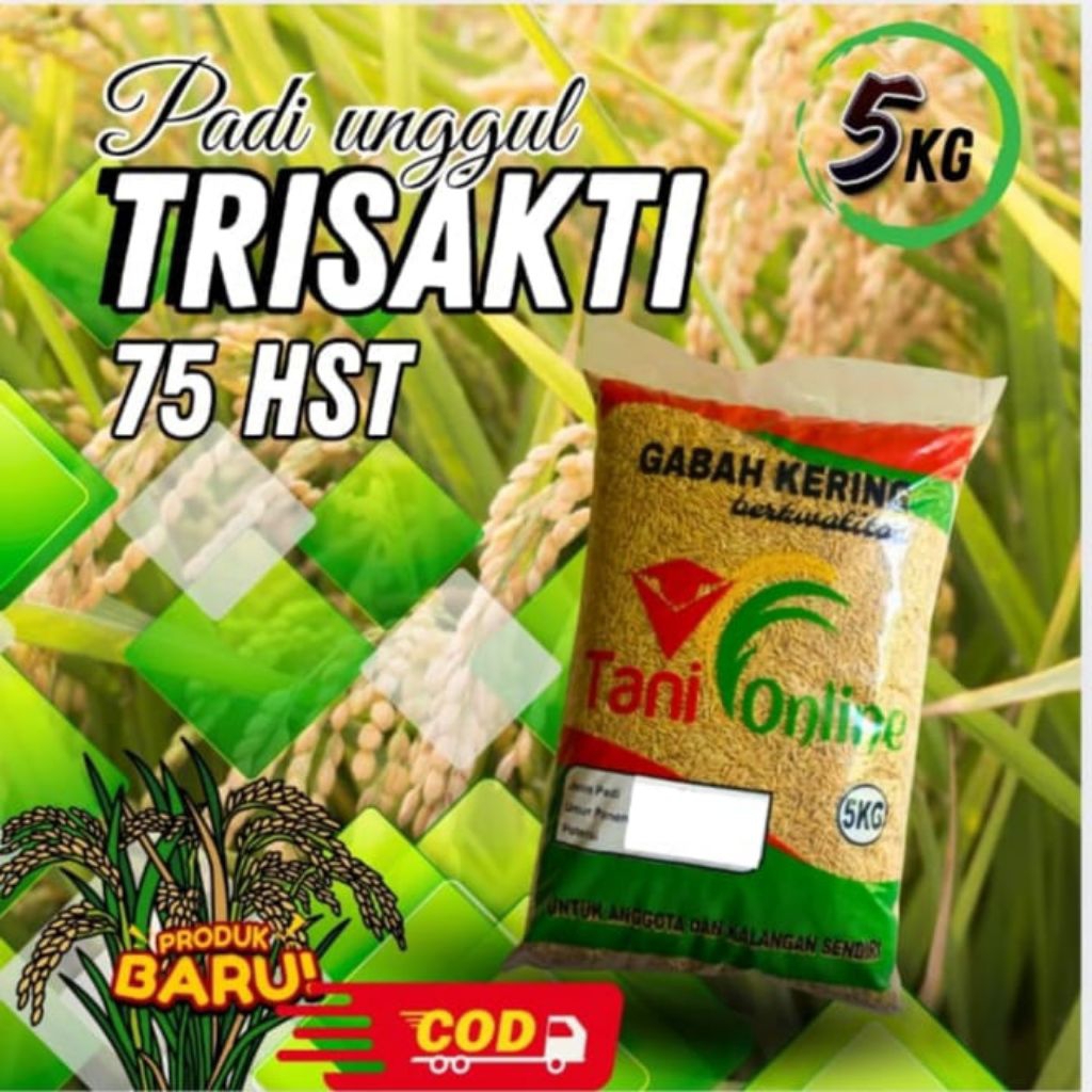 BENIH PADI GENJAH TRISAKTI 75 HST KUALITAS PREMIUM KEMASAN 5 KG