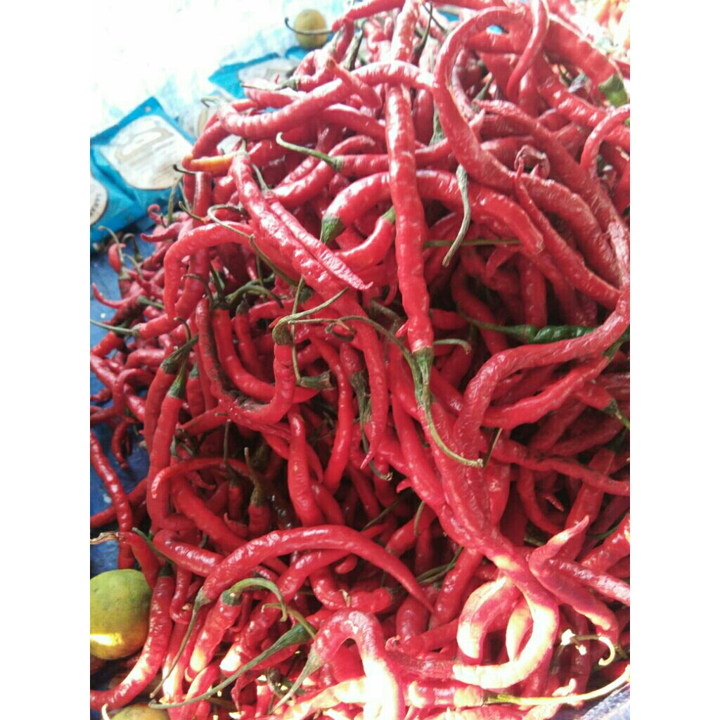 

cabemerahkritingpromo1kg