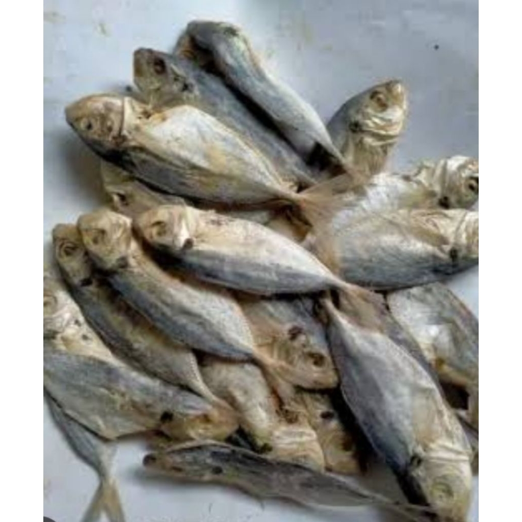 

1 bngks ikan asin peda kolentang