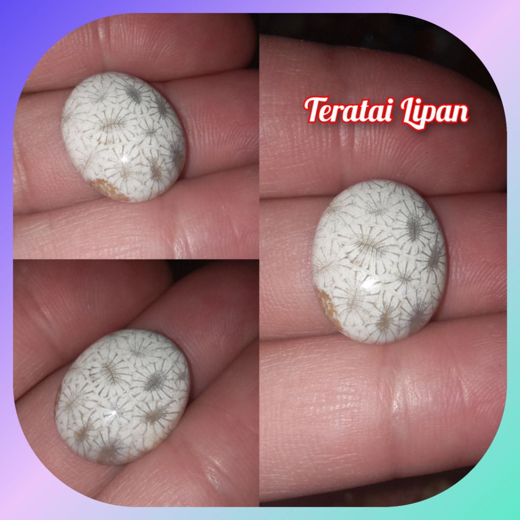 Batu cincin teratai lipan antik top natural