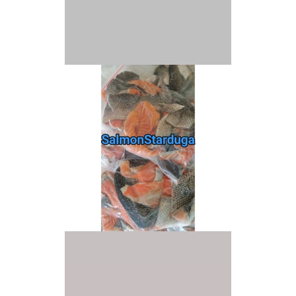 

kulit salmon 500 gram