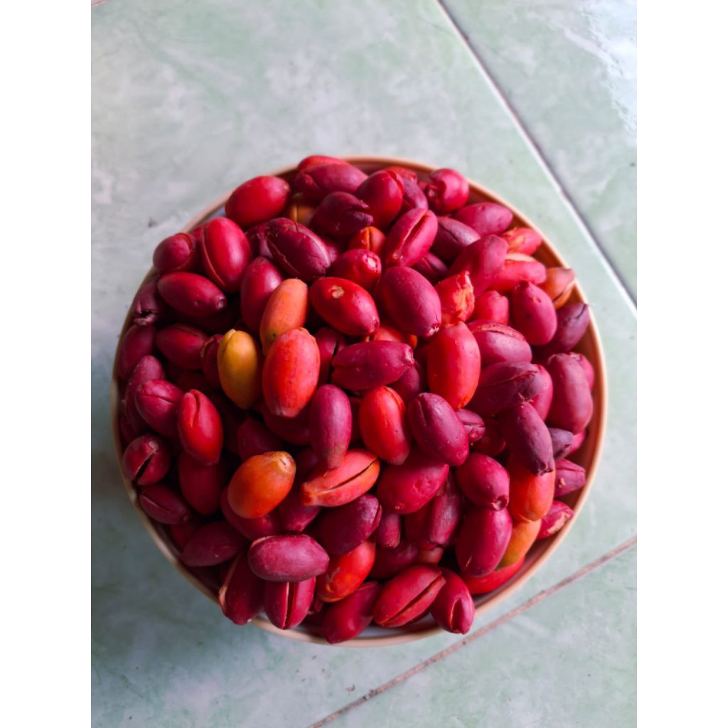 

kulit melinjo/kulit tangkil segar 1kg