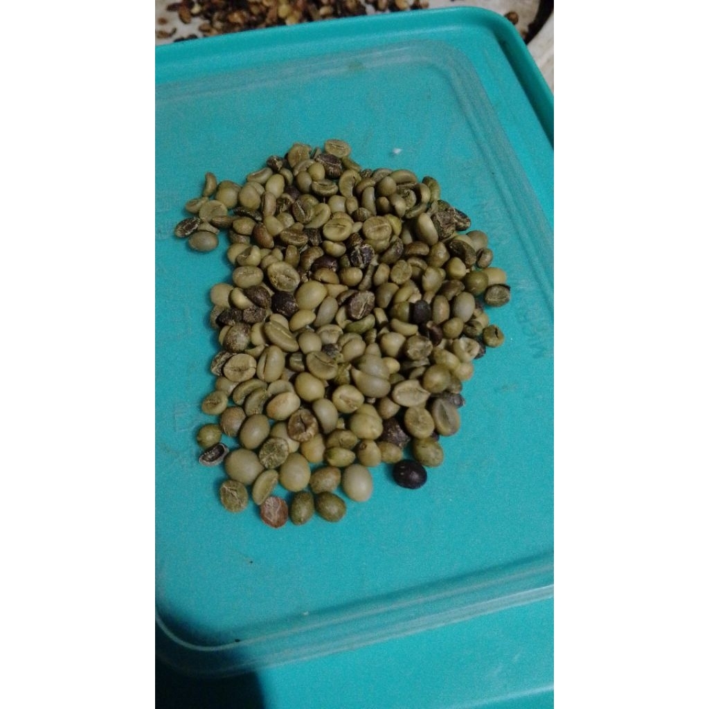 

ROBUSTA