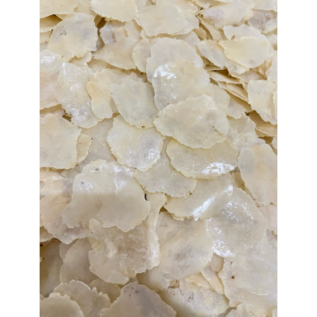 

EMPING MELINJO MENTAH 1KG BIJI 1&2 FULL KERING SIAP GORENG