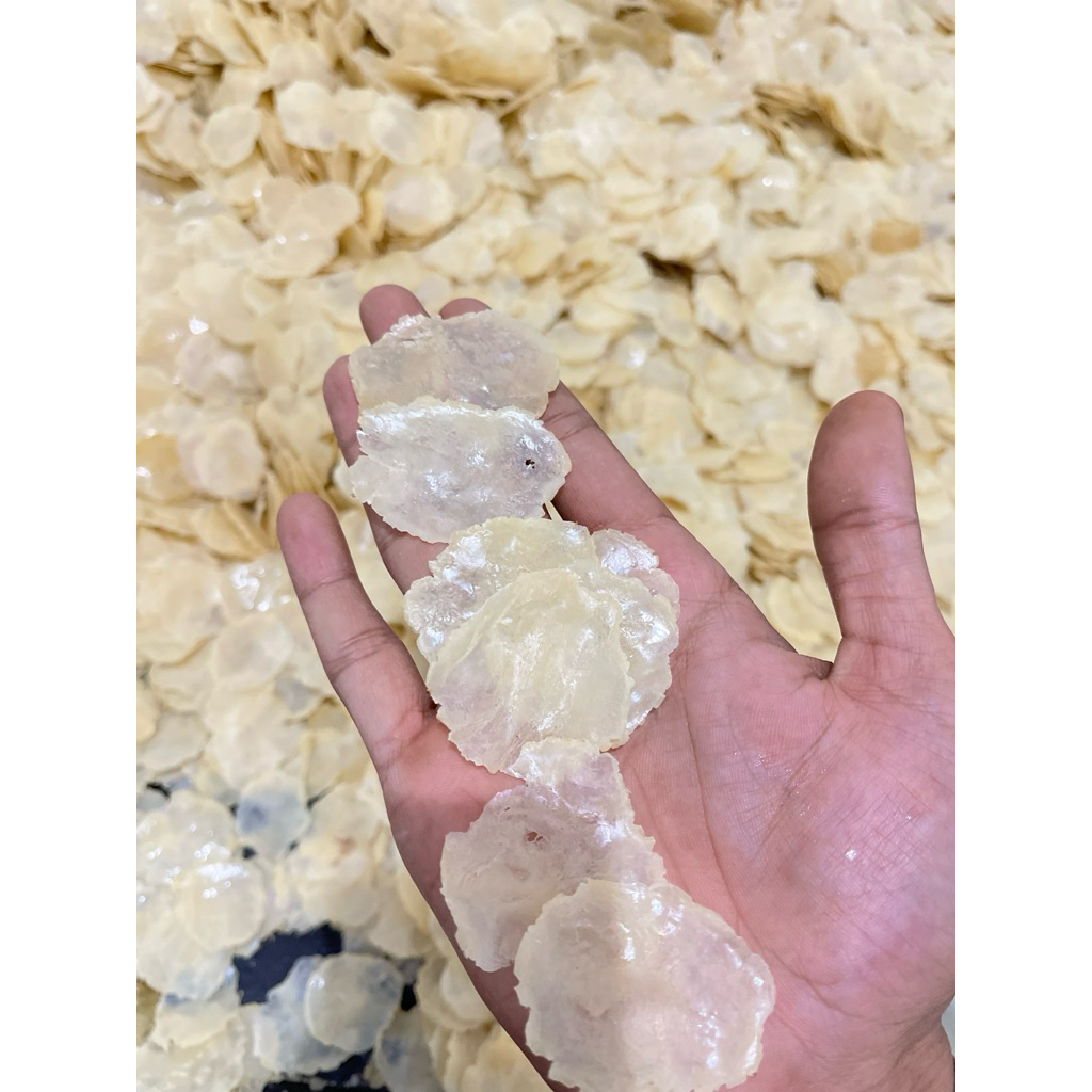 

Emping melinjo mentah 1kg full kering siap goreng SP biji 1&2