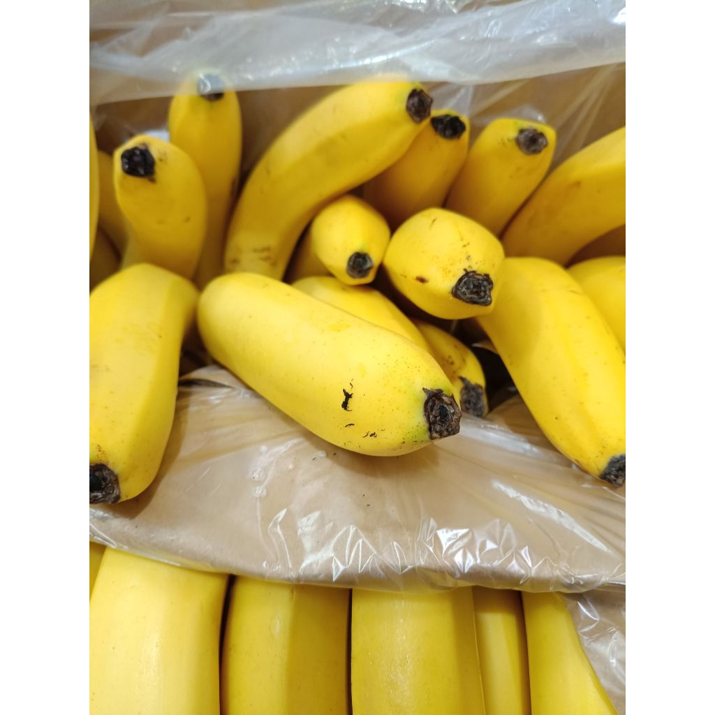 

Pisang Sunpride 1kg (gandeng 2)
