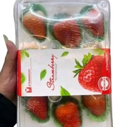 

Buah strawberry red import super fresh gift pack