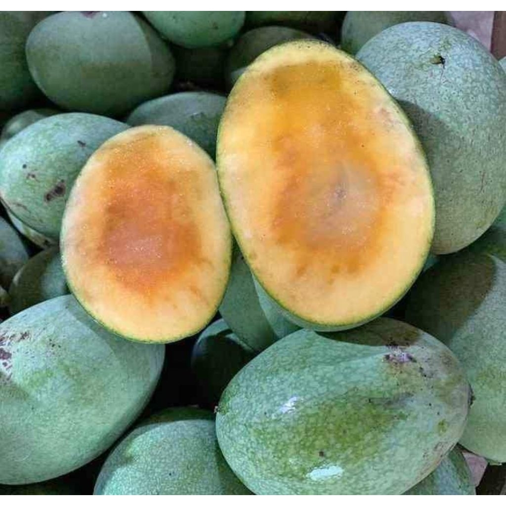 

mangga manalagi manis