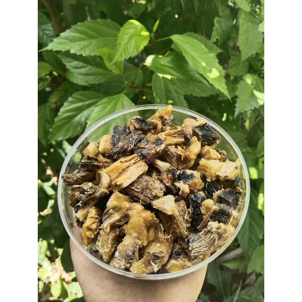 

GATOT SINGKONG/GATOT INSTAN CAMILAN SEHAT KUALITAS PREMIUM