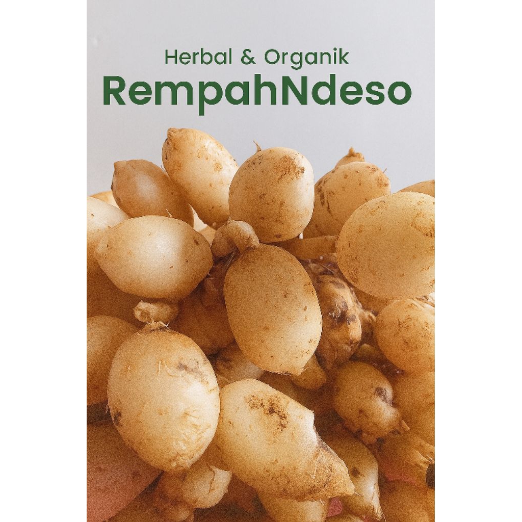 

Kunyit Putih Gombyok Segar 1 Kg Asli – Herbal Ampuh Anti Radang & Antioksidan | Rempah Sehat Wonogiri