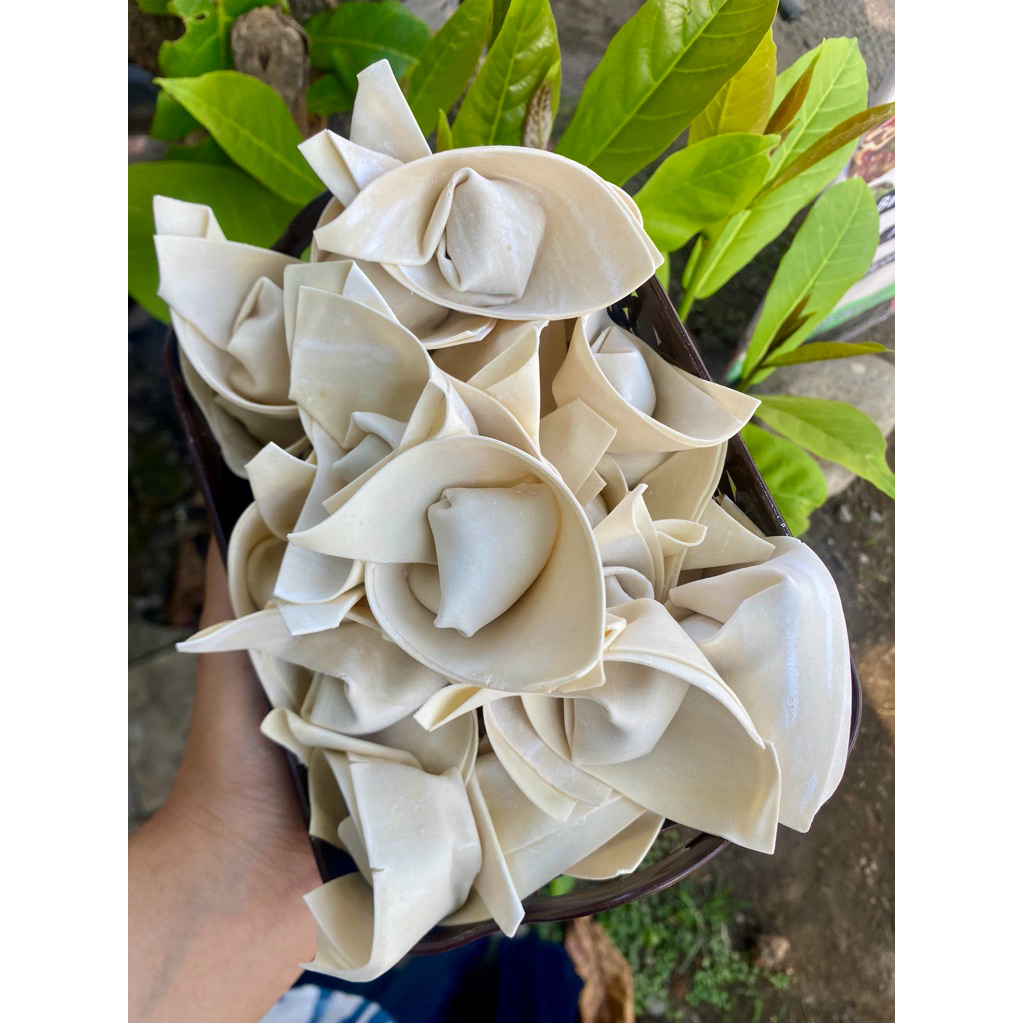 

Wonton/Pangsit Isi Ayam dan Tahu bakso mercon Chilli Oil