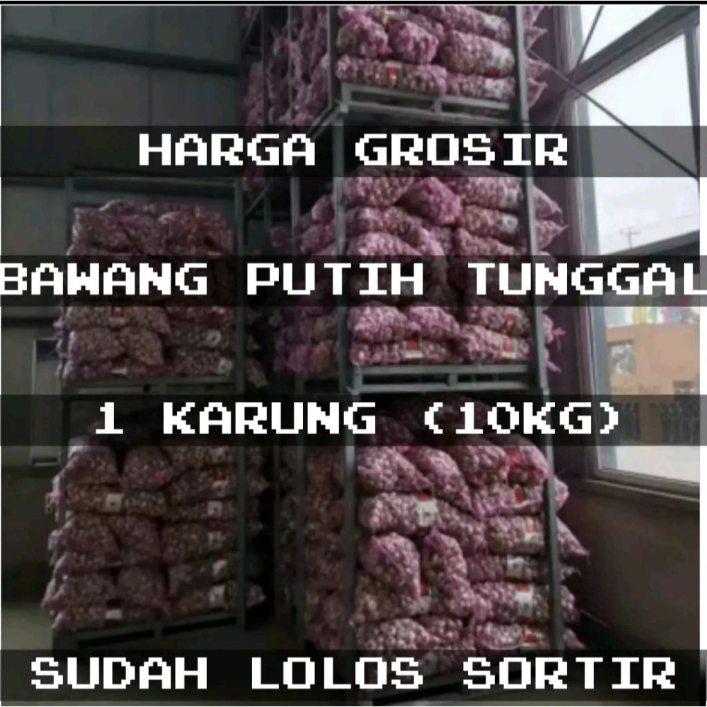 

Bawang Putih Tunggal/Bawang Lanang 10 KG Harga Grosir