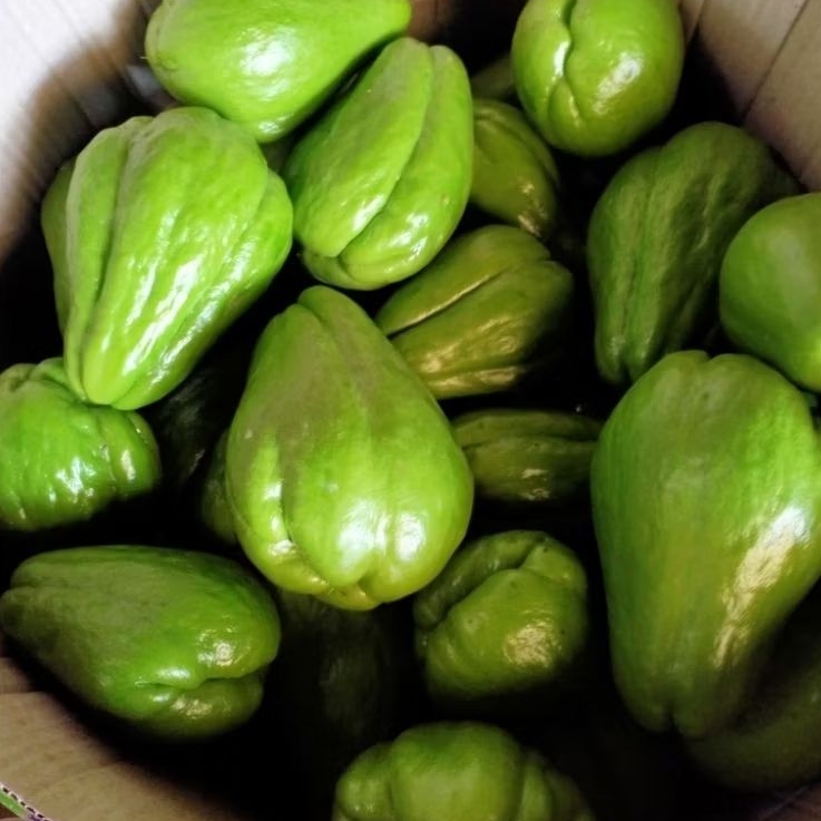 

labu siem 1kg fres,petik lngsung dari kebun sendiri 1kg.