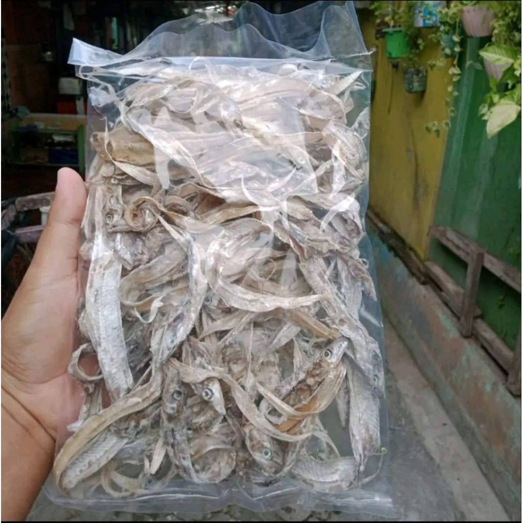 

IKAN KERING LAYUR - IKAN ASIN KHAS TUBAN - OLEH OLEH TUBAN - HAMPERS IKAN ASIN