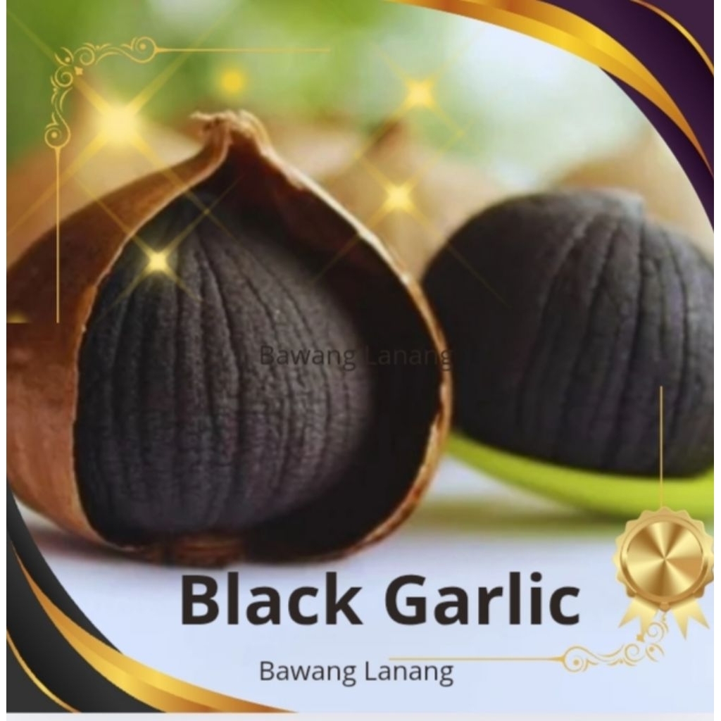 

BLACK GARLIC bawang hitam LANANG TUNGGAL