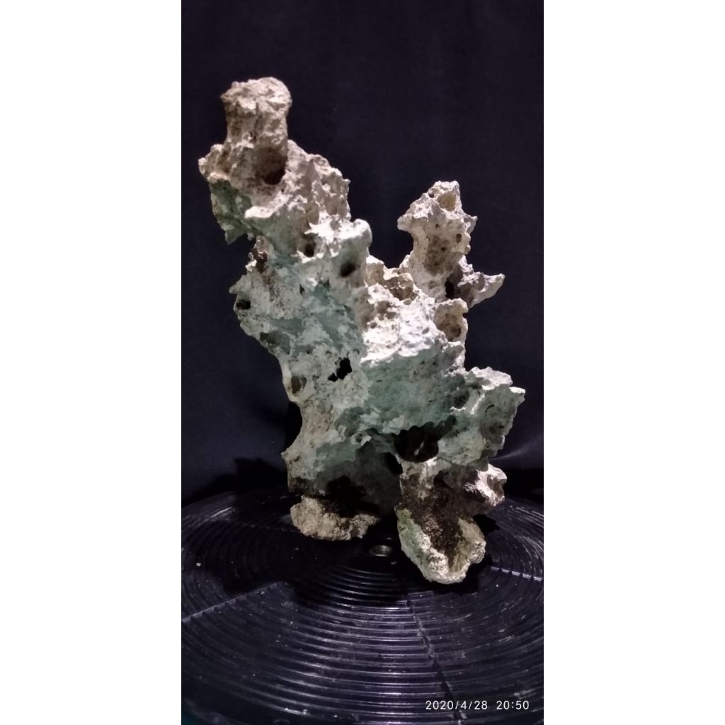 Batu karang gunung untuk bonsai/dekorasi aquarium