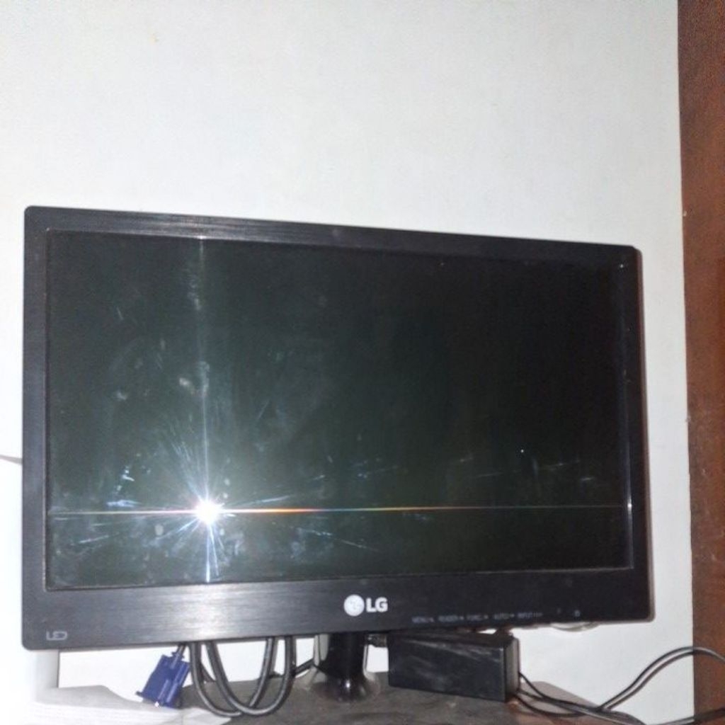 monitor LG