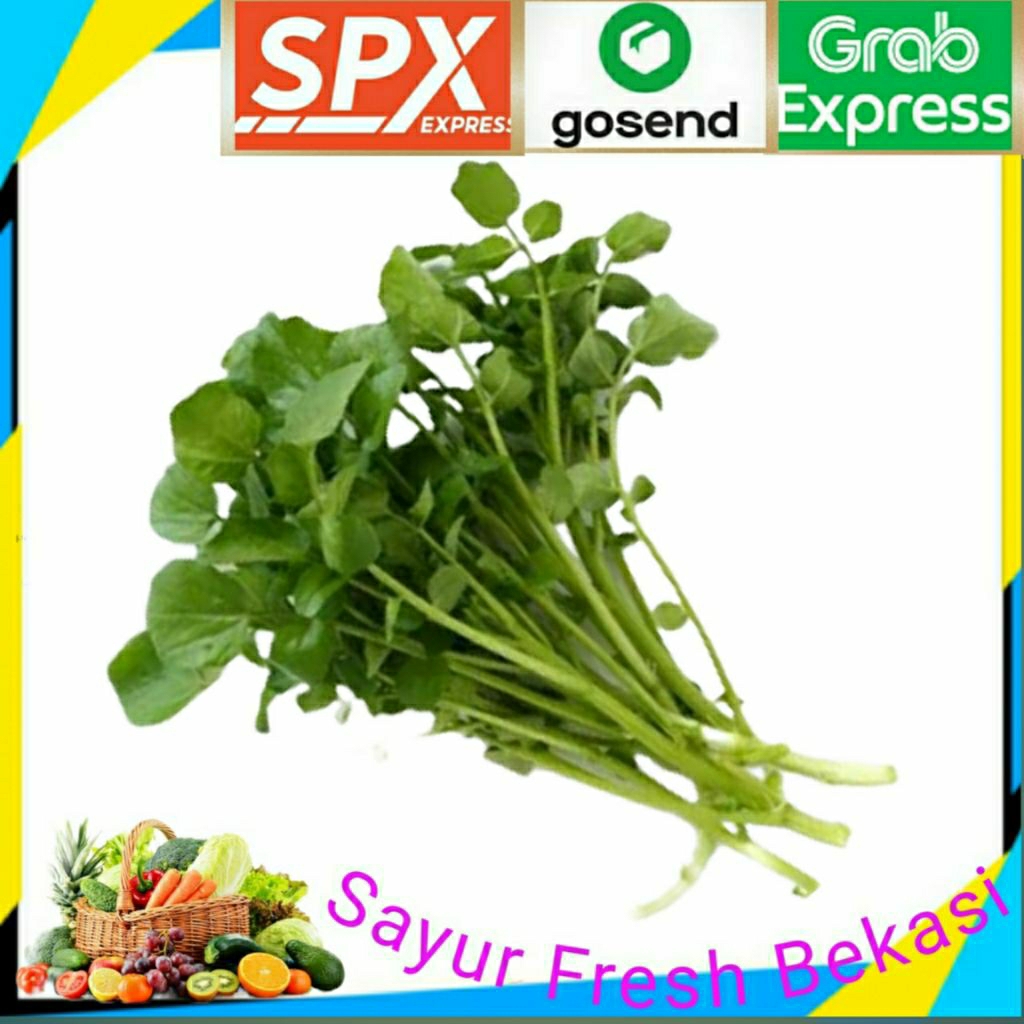 

Selada Air ( 1 ikat ).