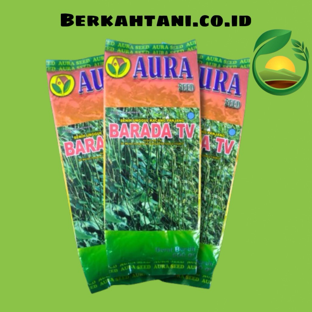 BARADA TV ISI 500 GRAM BIBIT BENIH KACANG PANJANG TAHAN VIRUS AURA SEED Setara Kanton Parade Tavi Pa