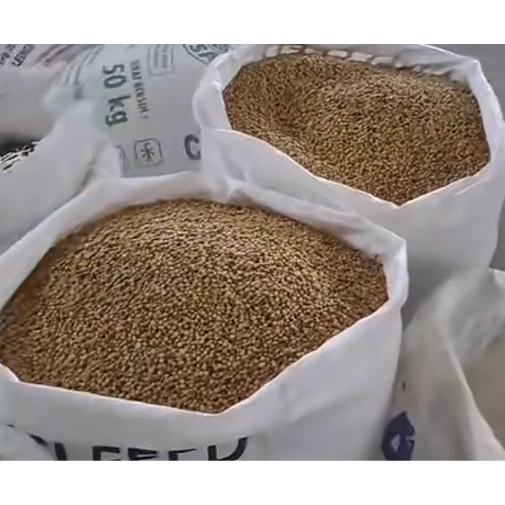 

LADA PUTIH BANGKA/MERICA BANGKA 1KG ORIGINAL ASLI PULAU BANGKA