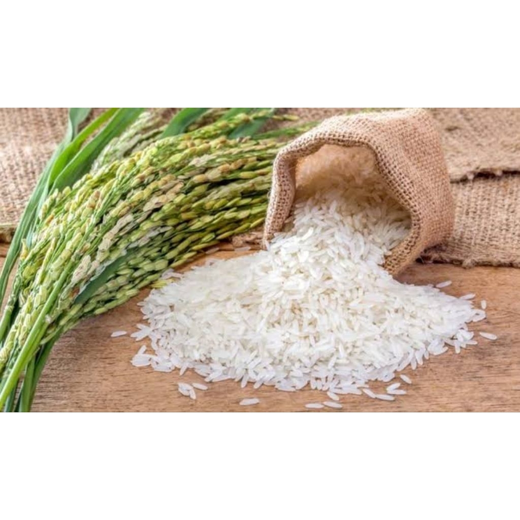 

Beras Organik Merah/Hitam/Coklat/Putih/Mix MPASI (50gr / 100gr) Hitam Merah Coklat