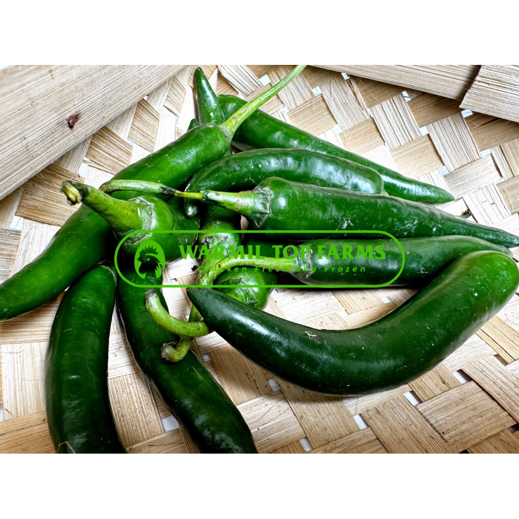 

Cabai Cabe Hijau Besar 250gr Sayur Segar