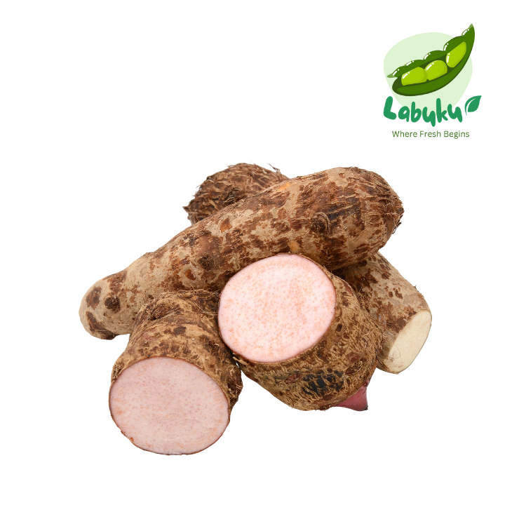 

Labuku – Umbi Talas Segar Premium Lokal (Keladi / Taro Root / Suweg)