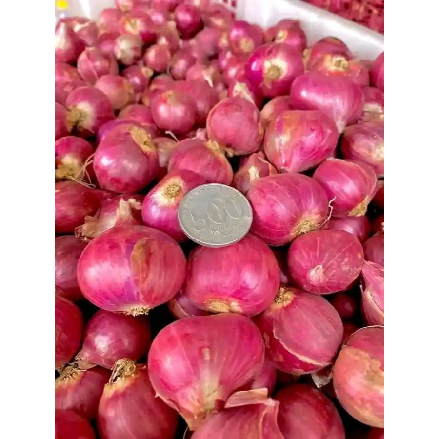 

Bawang Merah Super/Bawang Merah Great A/Bawang Merah Kering 1kg