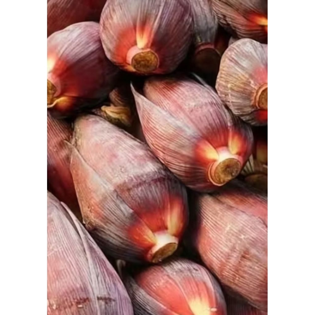 

Jantung Pisang kepok Sayur fresh langsung ambil dari kebun harga per 1pcs