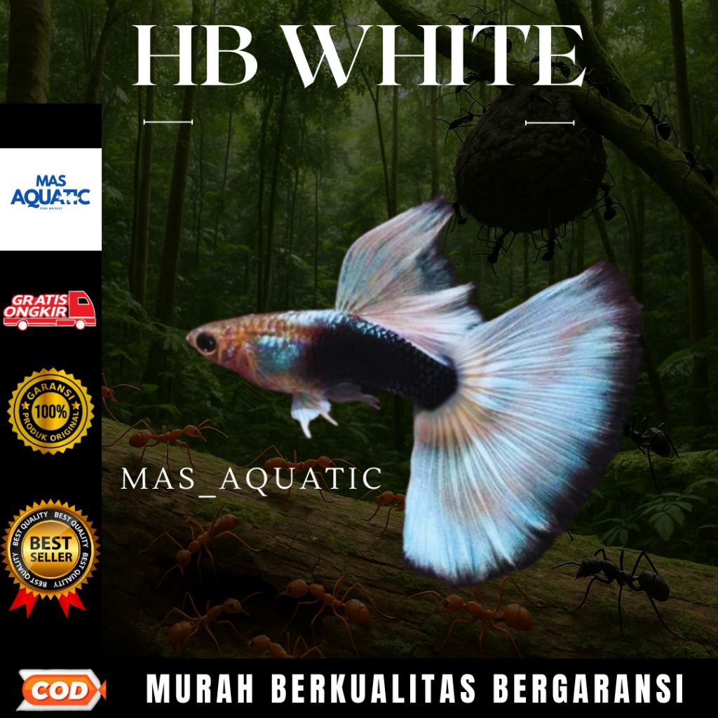 

EXTRA PACKING KARDUS || MEREK $£₱4$4NG HB WHITE