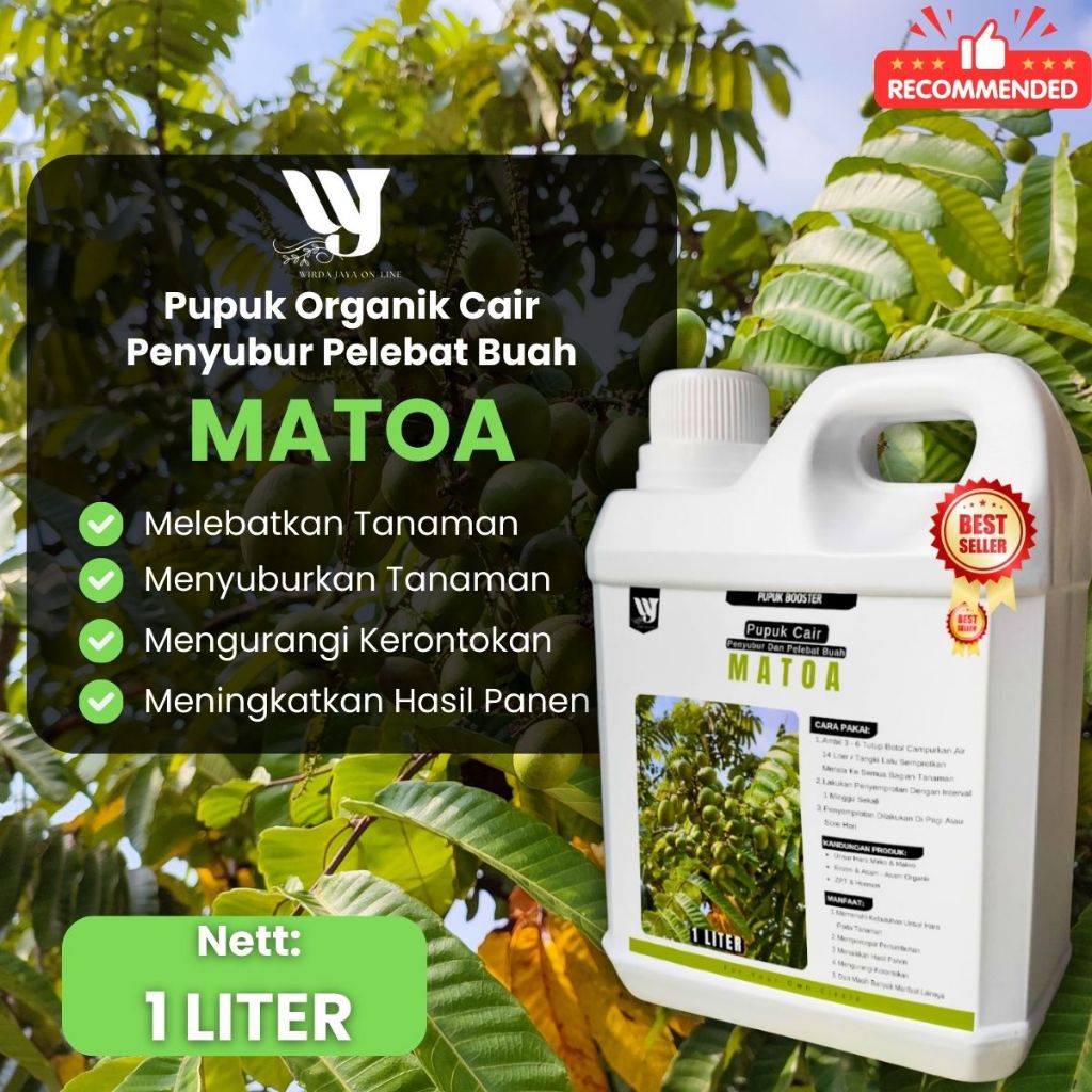 Pupuk Pohon Matoa Pupuk Booster Buah Matoa Buah Lebat | Pupuk Penyubur Tanaman Matoa Cepat Berbuah