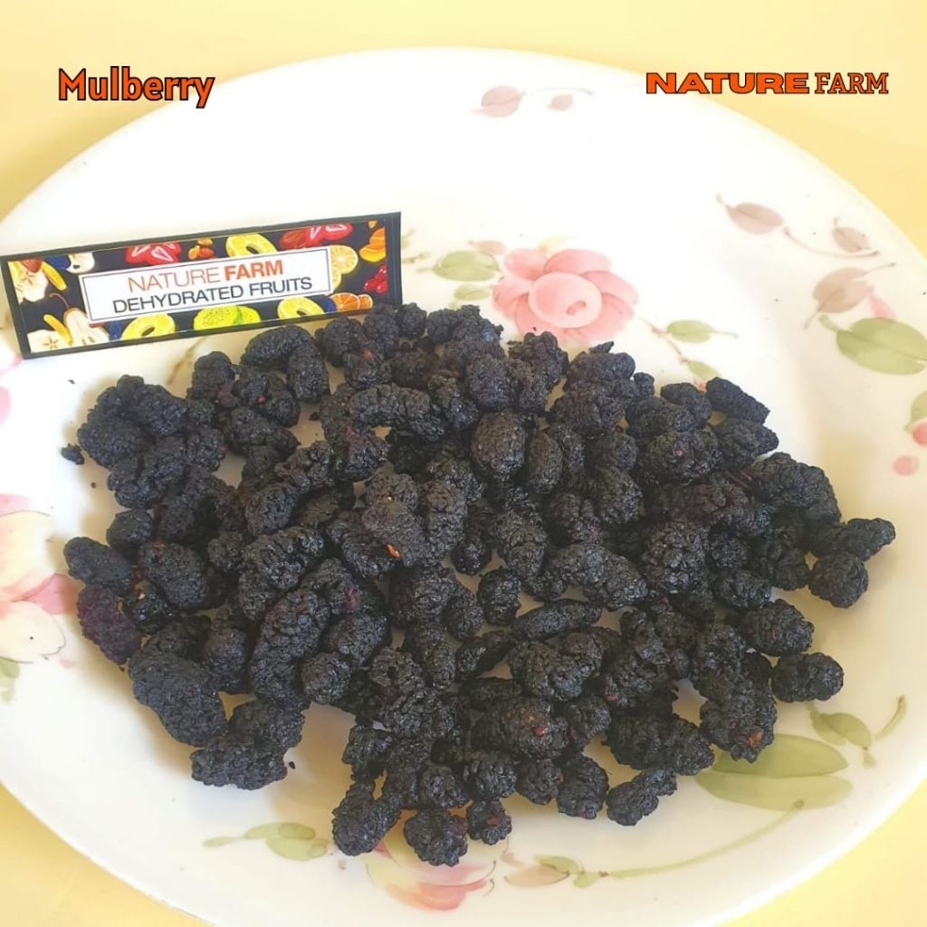 

Nature Farm Premium Dried Wild Mulberry Fruit / Teh Buah Mulberi kering - infused water