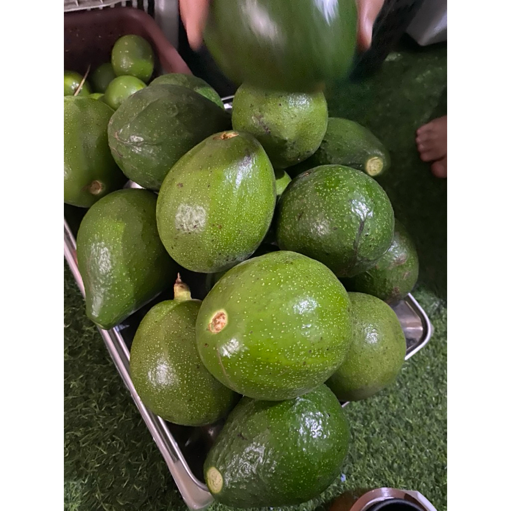 

ALPUKAT MENTEGA LOKAL MINI FREES 1 kg isi 4,5,6aman di konsumsi anti pestisida