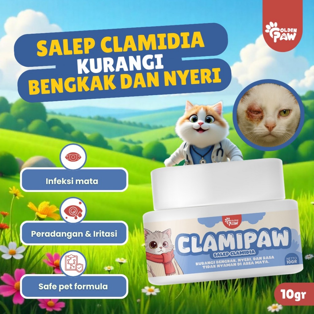 Golden Paw - Clamipaw 10gr Salep Clamidia Mata Kucing Mengurangi Infeksi Chlamydia Felis & Peradanga