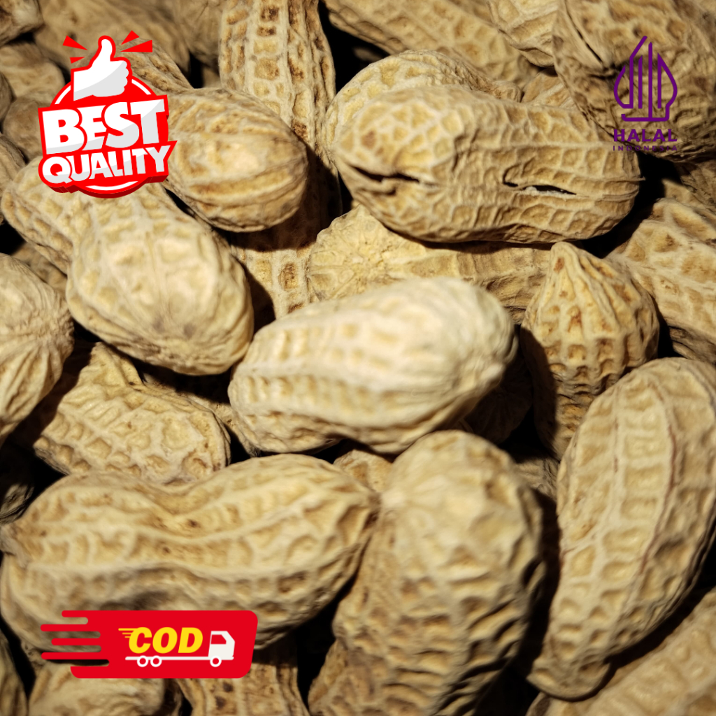 

KACANG OVEN RENYAH GURIH BUMIAYU BERKUALITAS PREMIUM 1 KG