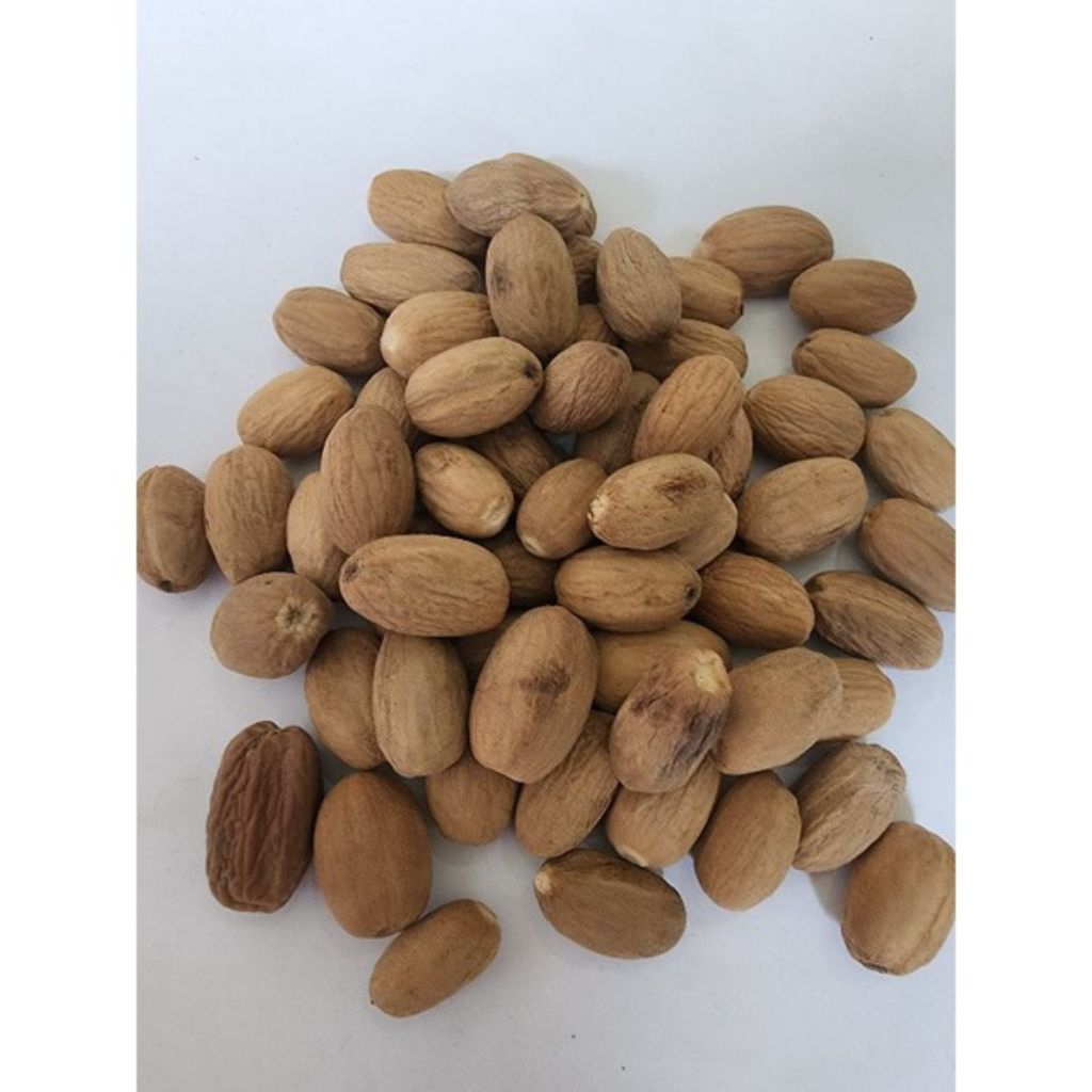 

biji pala lonjong premium 1kg, pala premium, biji pala kering, pala asli Indonesia, rempah dapur herbal‎, jual pala di shopee