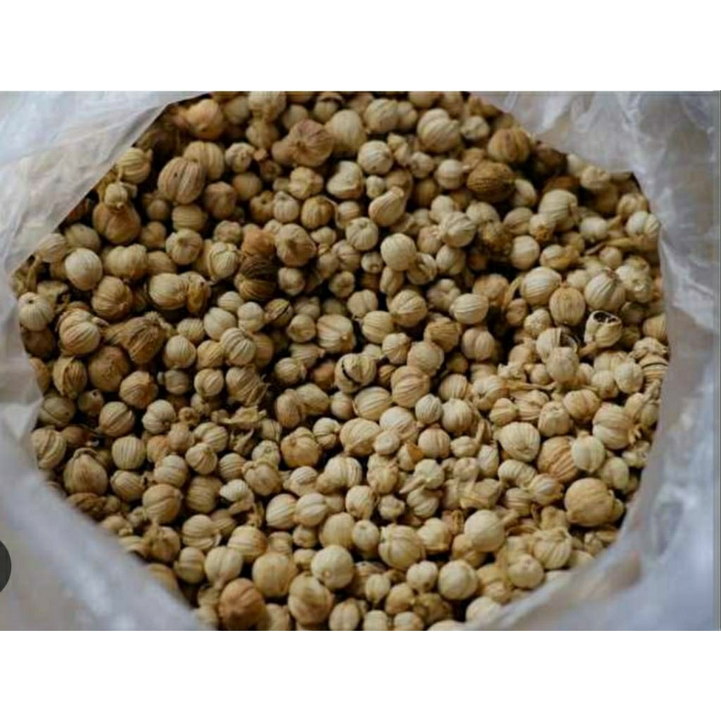 

KAPULAGA KERING 1 KG