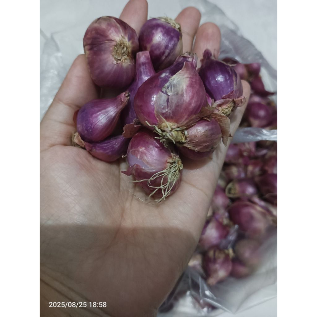 

bawang merah murah