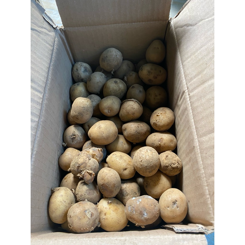 

Kentang ares mentah 1kg