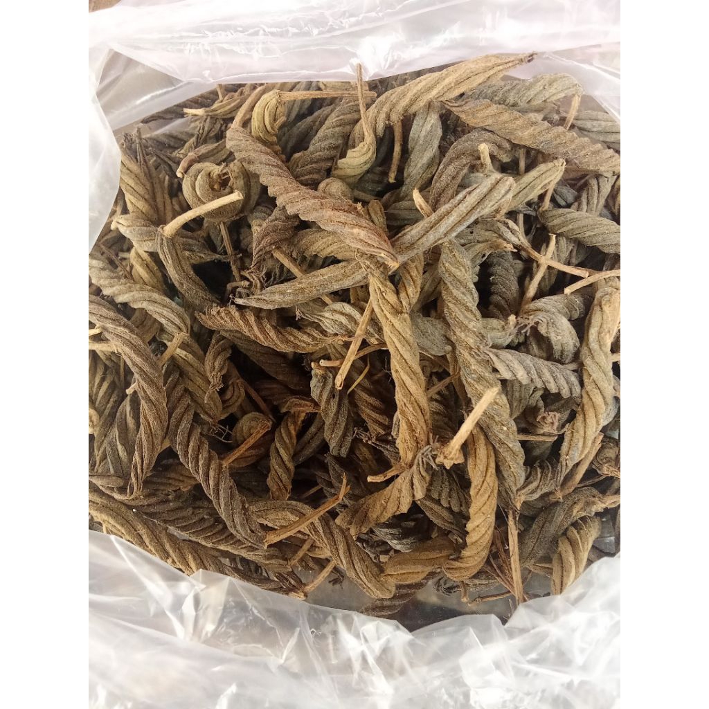 

LADA PUTAR CANTIK SELALU BARU