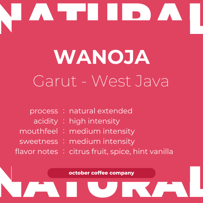 

WANOJA NATURAL WINE - Kopi Garut, Single Origin, Arabica